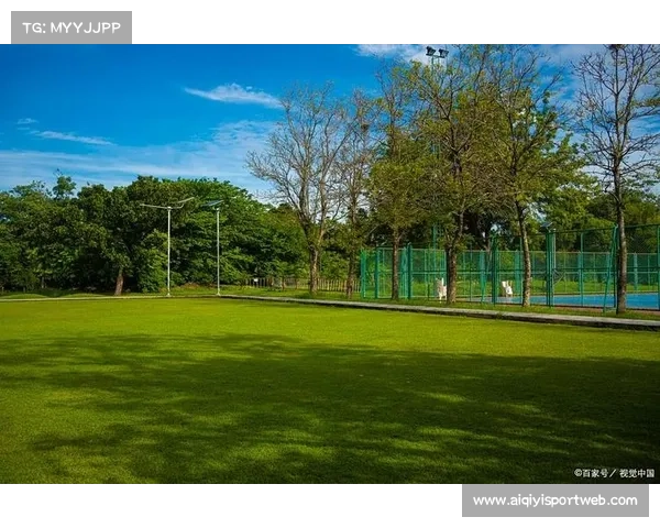 多家俱乐部计划夏季升级主场草坪,以更适应高速攻防节奏 多家俱乐部计划夏季升级主场草坪,以更适应高速攻防节奏